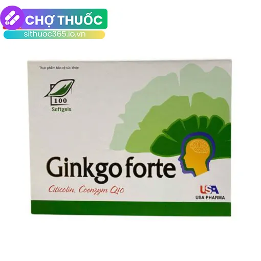 Ginkgo Forte Citicolin Coenzym Q10