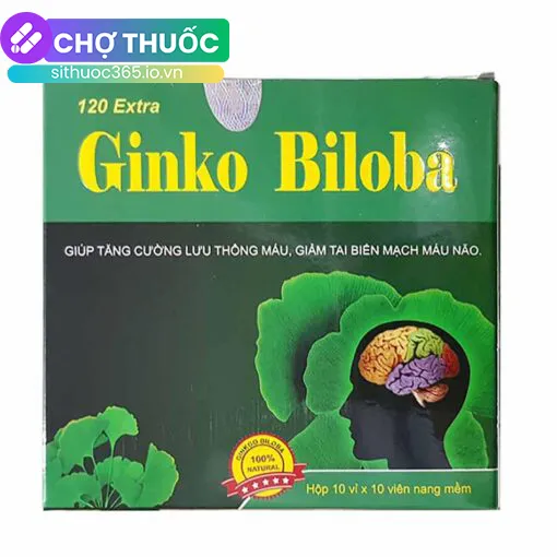 Ginko Biloba 120 Extra