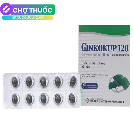 Ginkokup 120