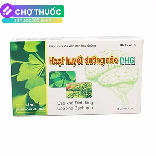 Hoạt Huyết Dưỡng Não DHG