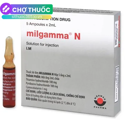 Milgamma N