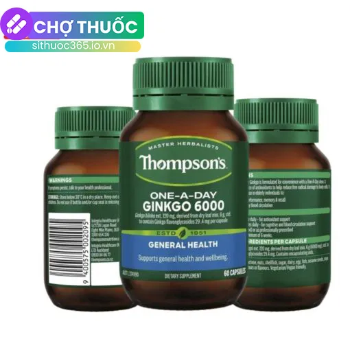 Thompson’s One-A-Day Ginkgo 6000