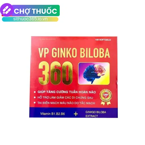 VP Ginko Biloba 360